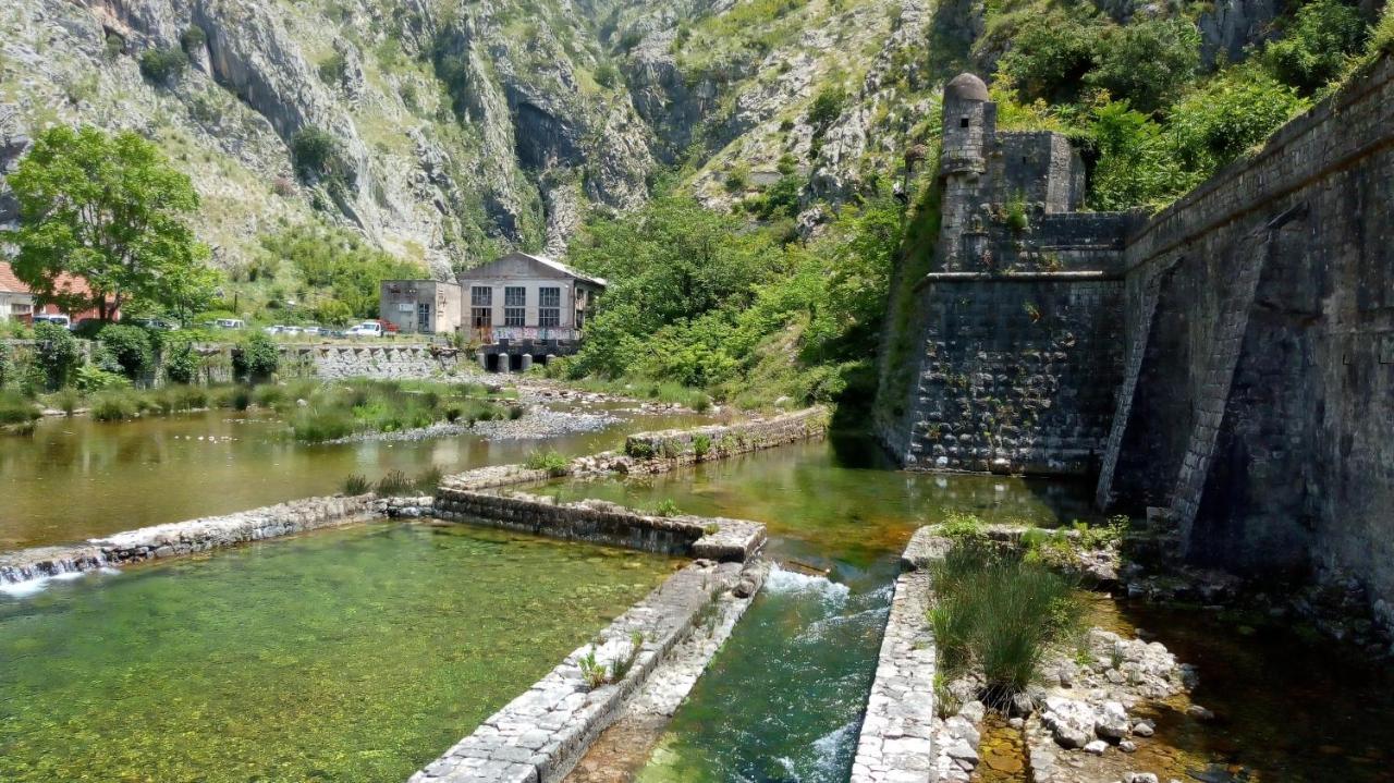 Tea Apartment Kotor Exterior photo